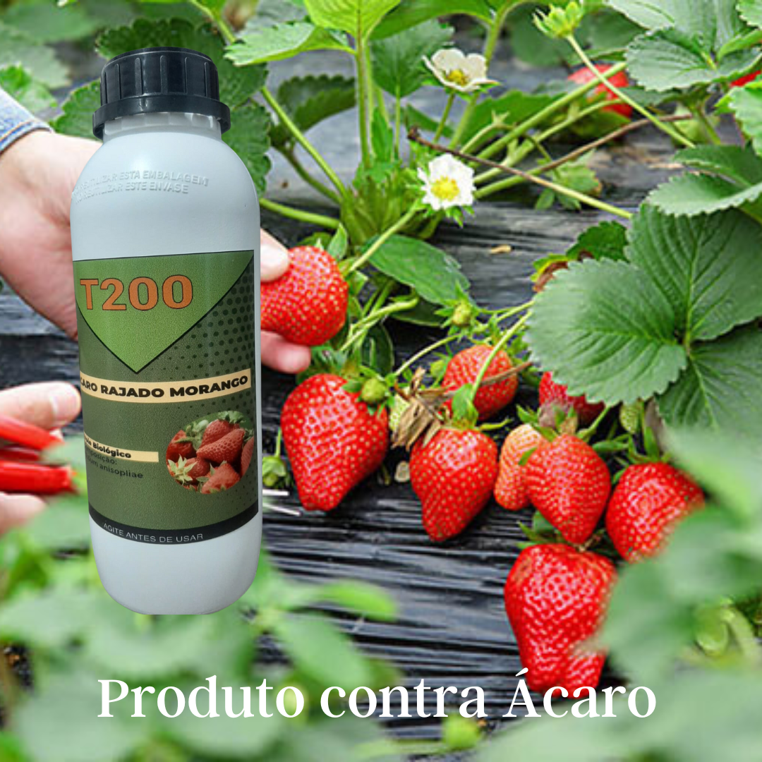 T300 Produto Para Ácaro Rajado Do Morango Biológico 1 Litro