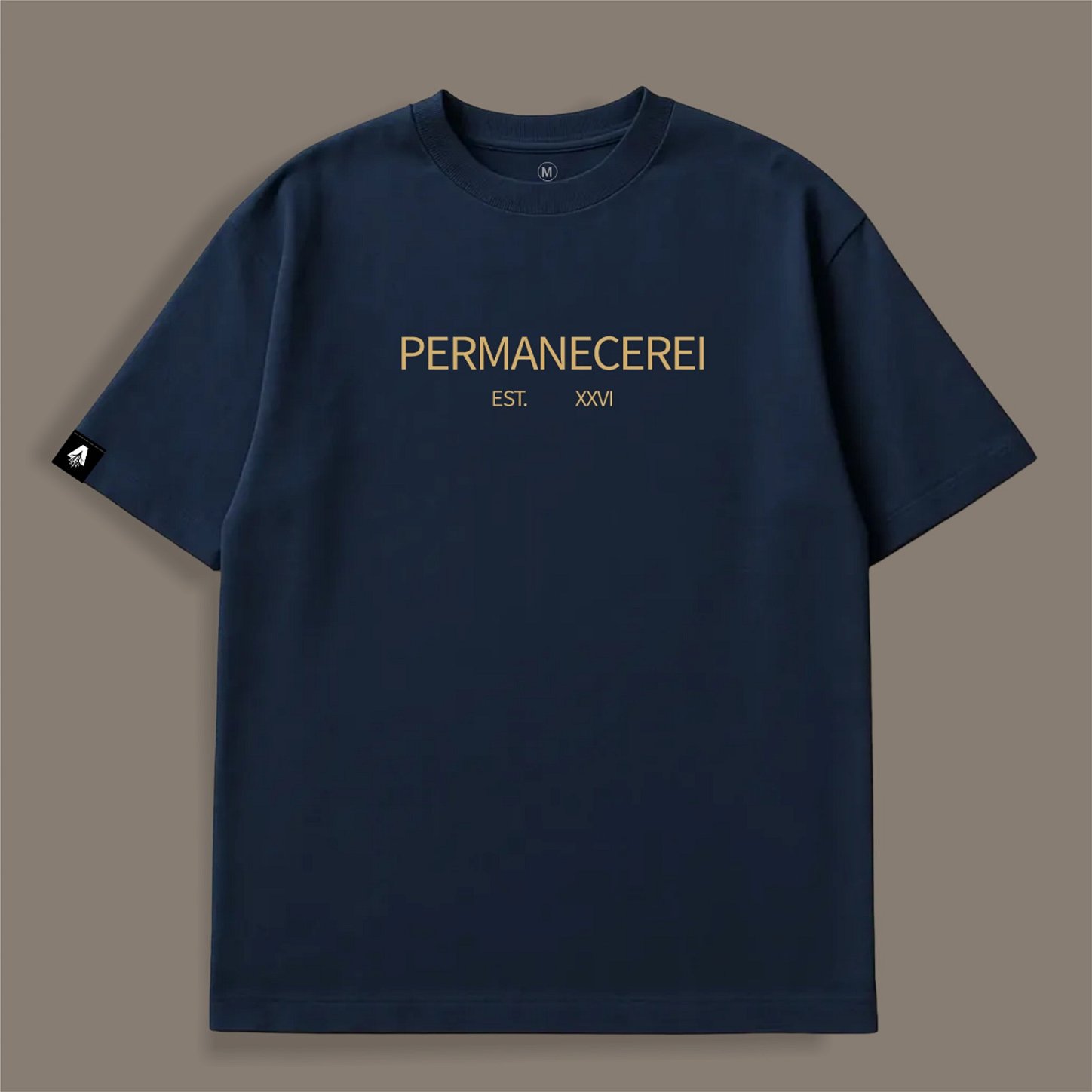CAMISETA OVERSIZED PERMANECEREI