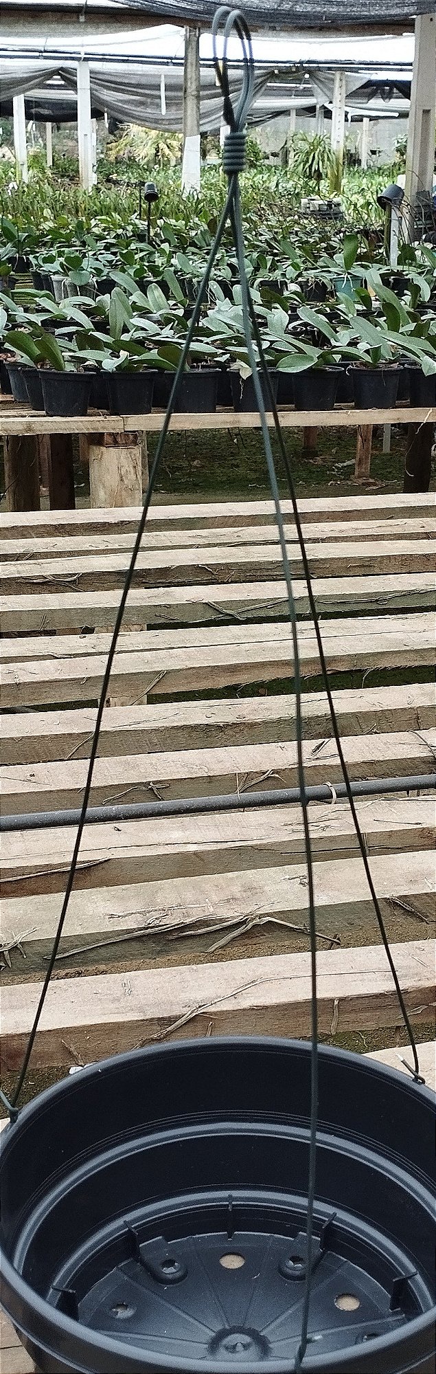 Ganchos de 3 pernas