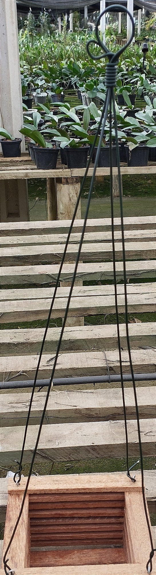 Ganchos de 4 pernas