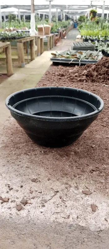 Vaso cuia de 25 cm