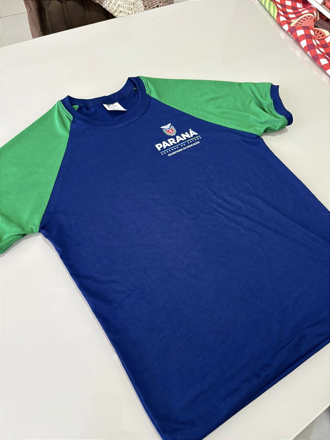 Camiseta Poliviscose Ensino Regular do Paraná