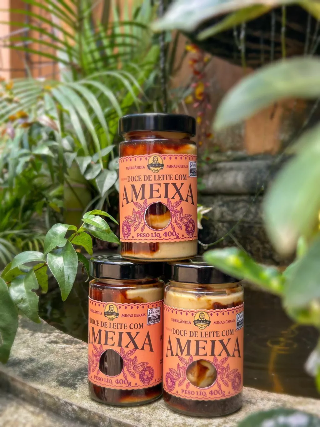 Doce de Leite Com Ameixa 400g