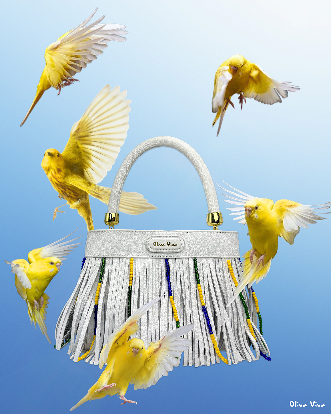 Bolsa Brasil Bossa Nova - Brasilidade que Inspira