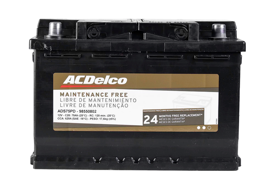 BATERIA ACDELCON 60 AMP