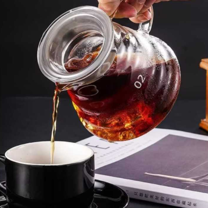 Cafeteira de Vidro Borrossilicato Com Tampa e Filtro 600ml