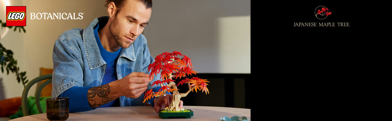 10348 Bonsai de Bordo-japonês Vermelho