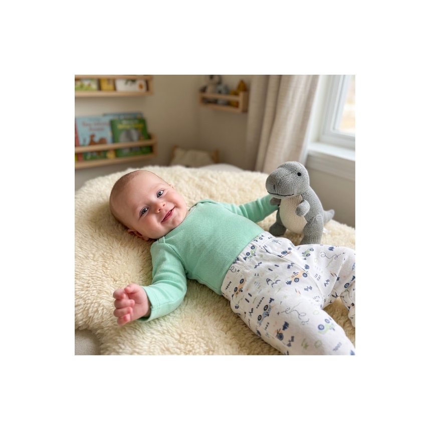 Conjunto Estampado Suedine Menino Verde/ Carrinho Tam M