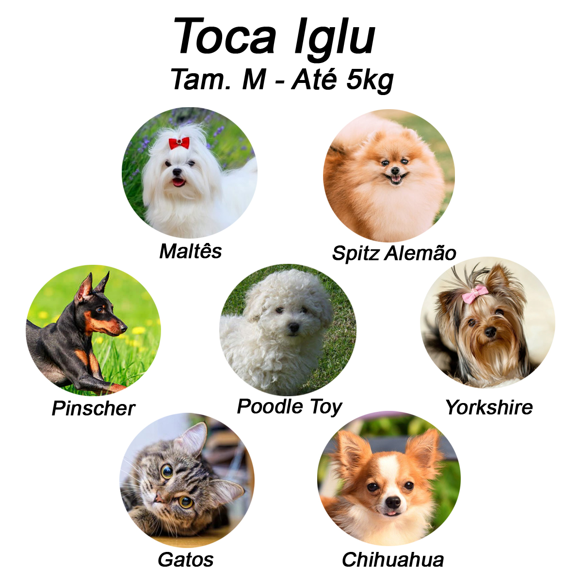 Cama Iglu e Toca Para Cachorro Luppet Luxo Preto Poa Tamanho:M