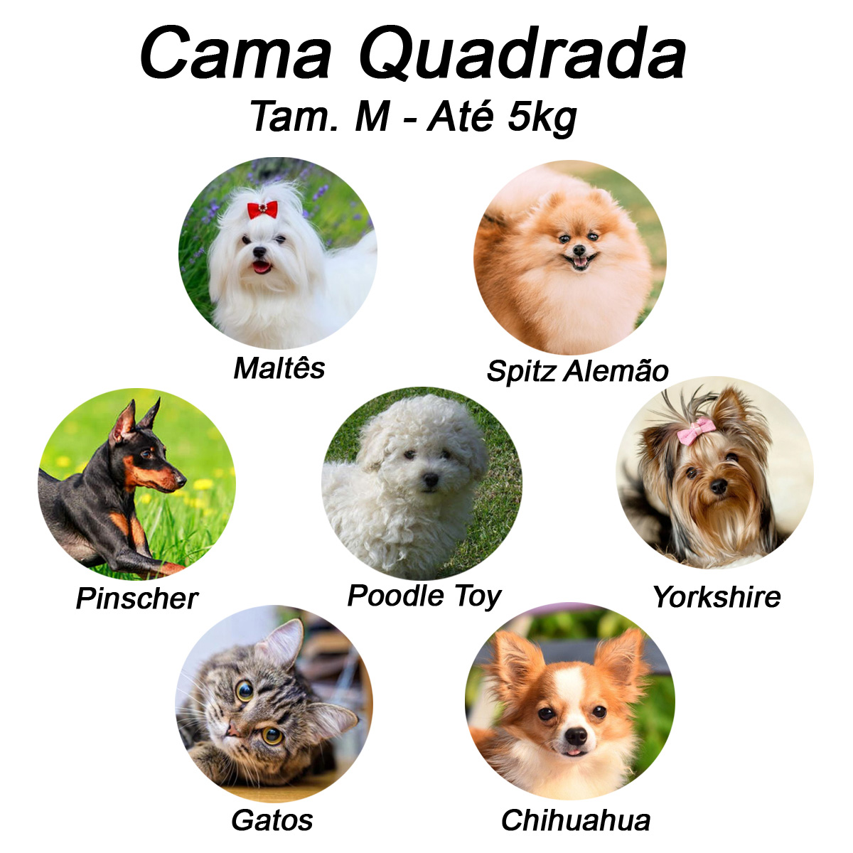 Cama Quadrada para Cachorro ou Gato Luppet Vermelho Joaninha