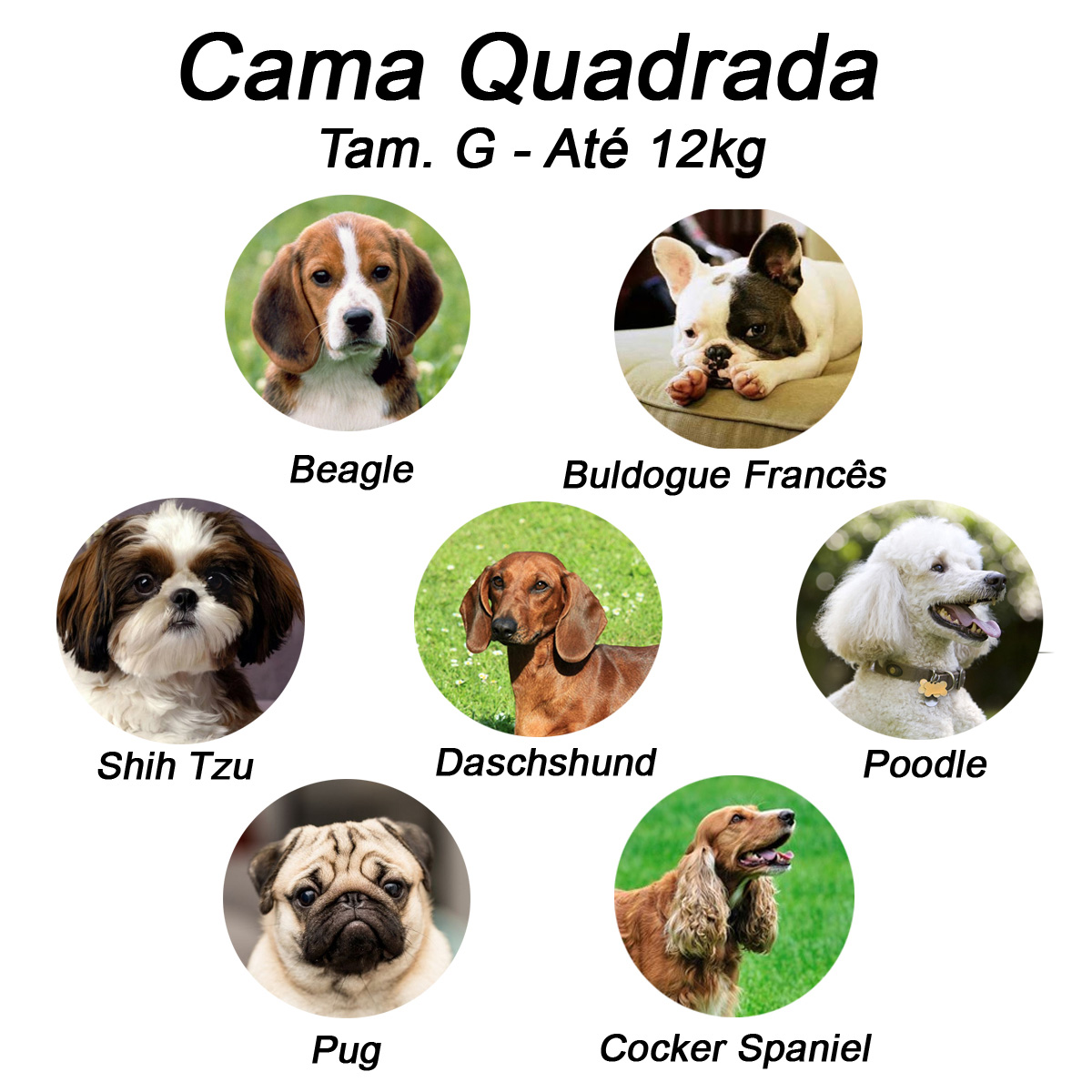 Cama Quadrada para Cachorro ou Gato Luppet Vermelho Joaninha