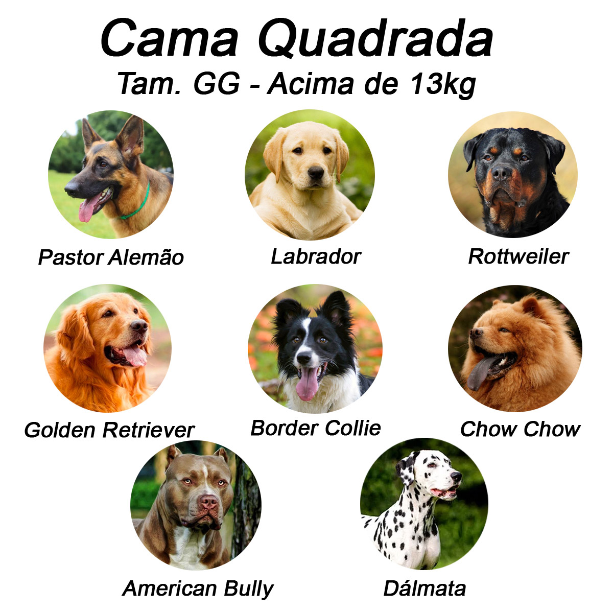 Cama Quadrada para Cachorro ou Gato Luppet Vermelho Joaninha
