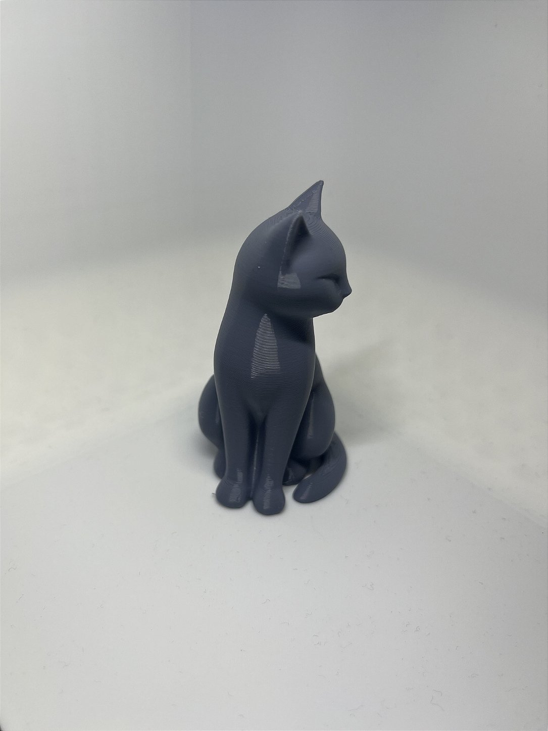 Estatua Gato Preto