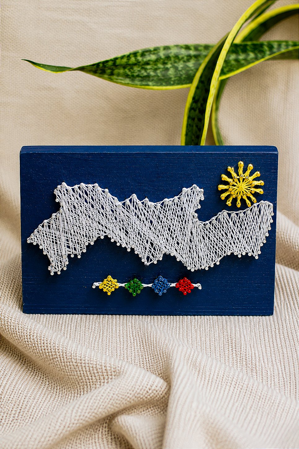 Quadro Mapa de Pernambuco String Art