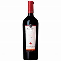 VCH CASA SILVA MICROTERROIR CARMENERE TT750