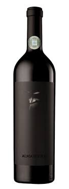 VAR TIKAL ERNESTO CATENA ALMA NEGRA TINTO 2020 TT750