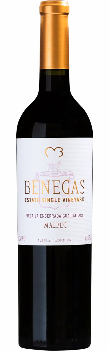 VAR BENEGAS SINGLE VINEYARD GUALTALLARY MALBEC TT750
