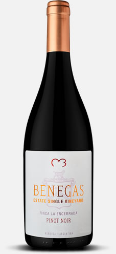 VAR BENEGAS SINGLE VINEYARD GUALTALLARY PINOT NOIR TT750