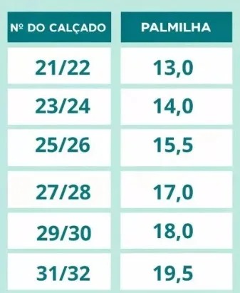 Babuche StarPink Dinossauro Azul Marinho