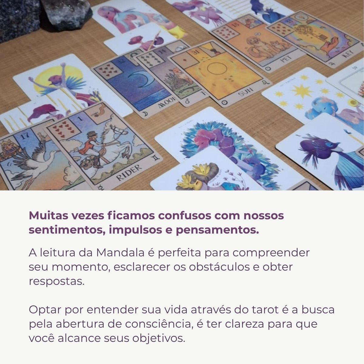 Atendimento Integrativo