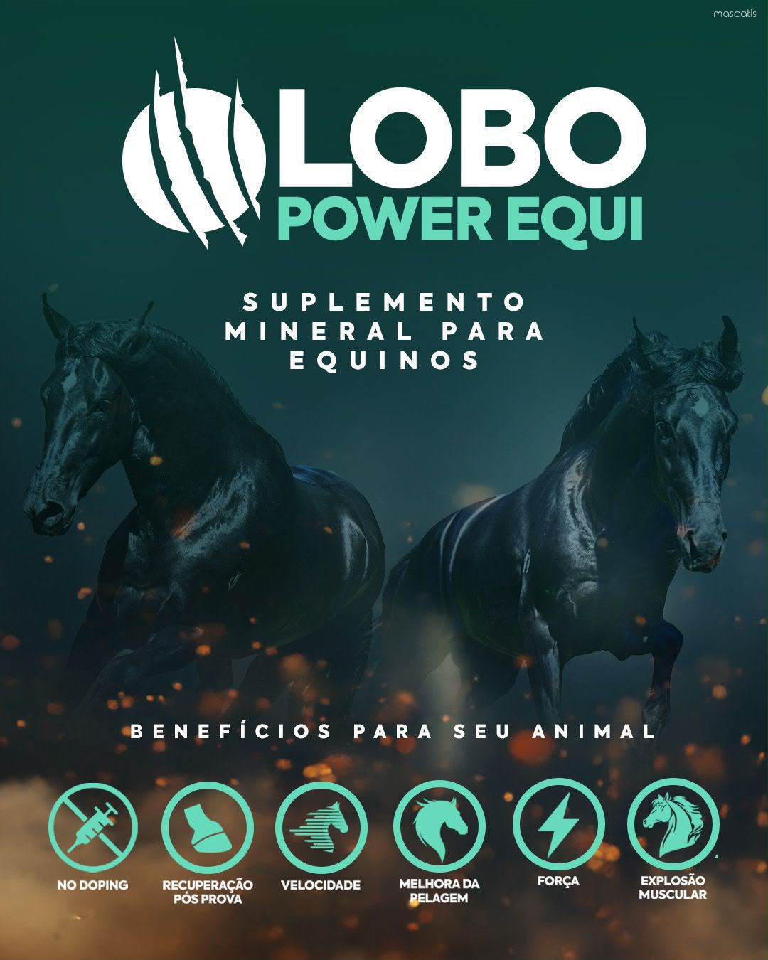Lobo Power Equi Suplemento Mineral para Equinos 6kg