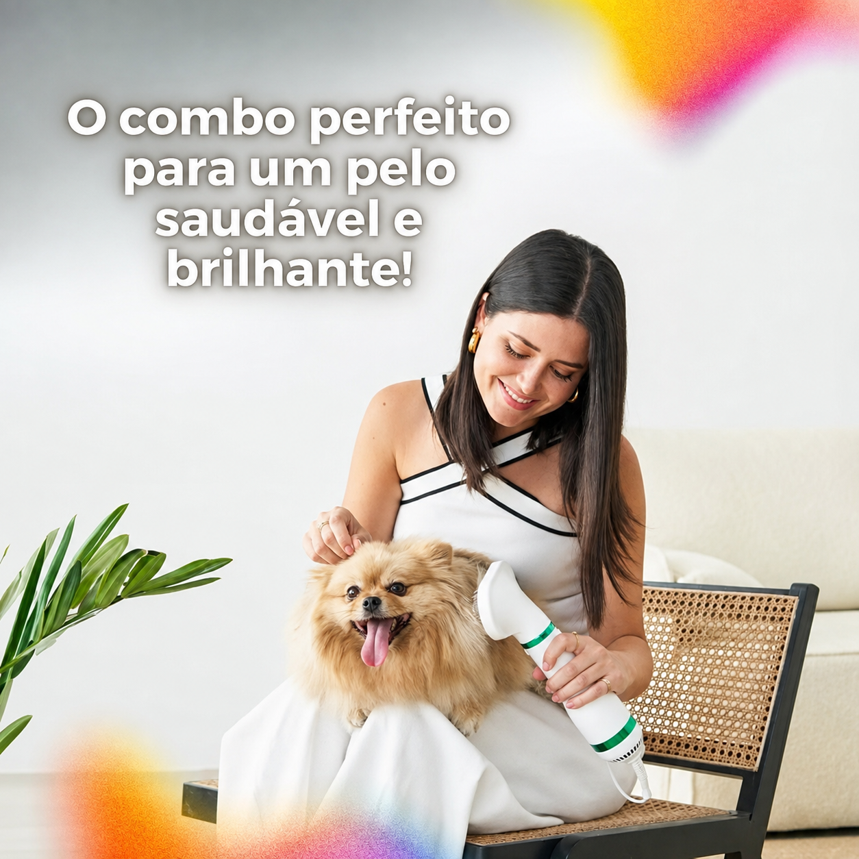 Secador De Cachorro 110V Pente Soprador Banho Pet Gato 2 Em1 ANJGG