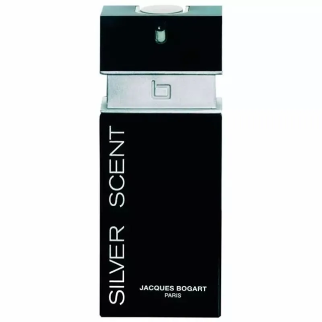 Perfume Silver Scent Masculino Eau de Toilette 100ml