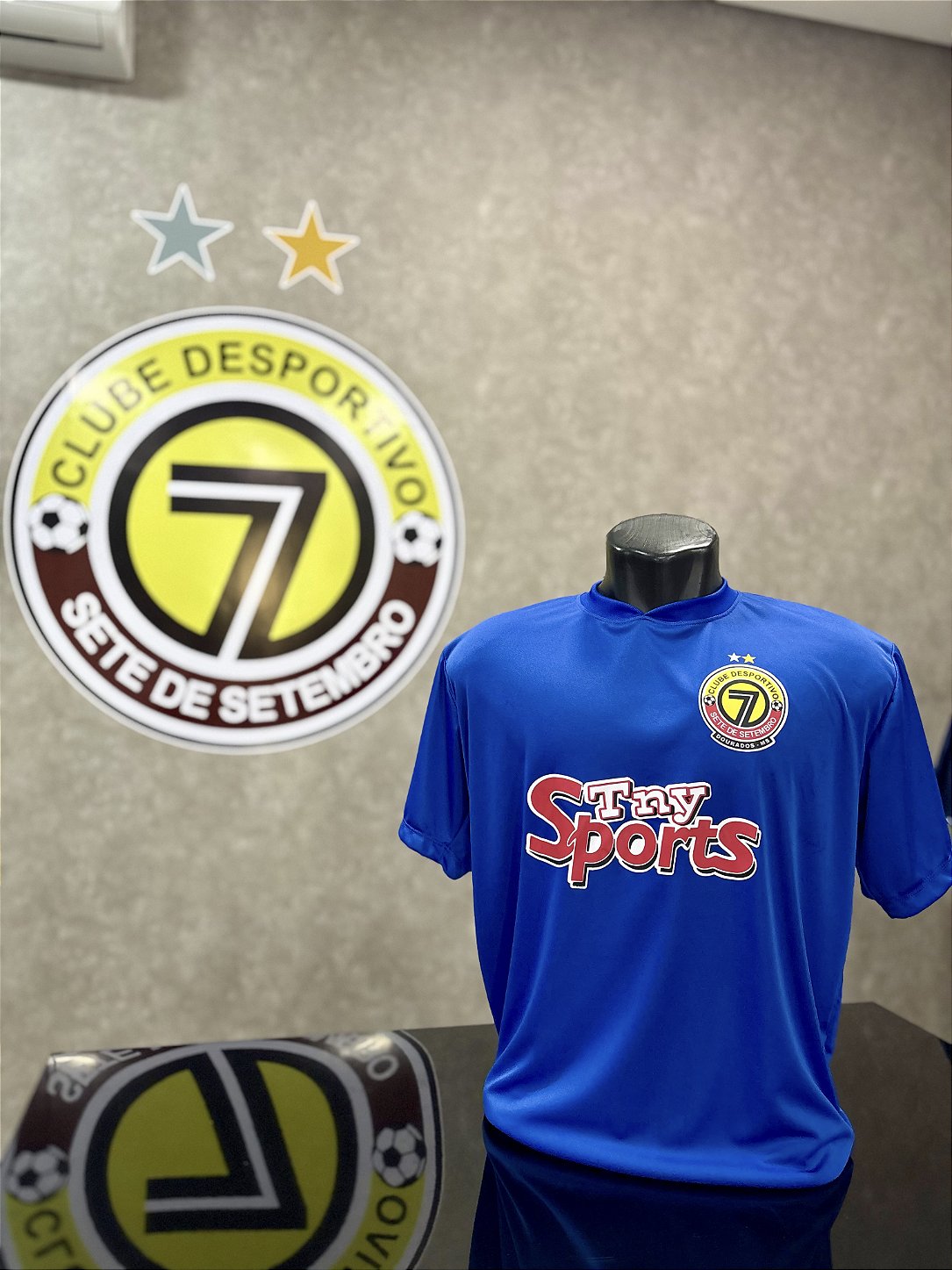 Camiseta Azul Treino