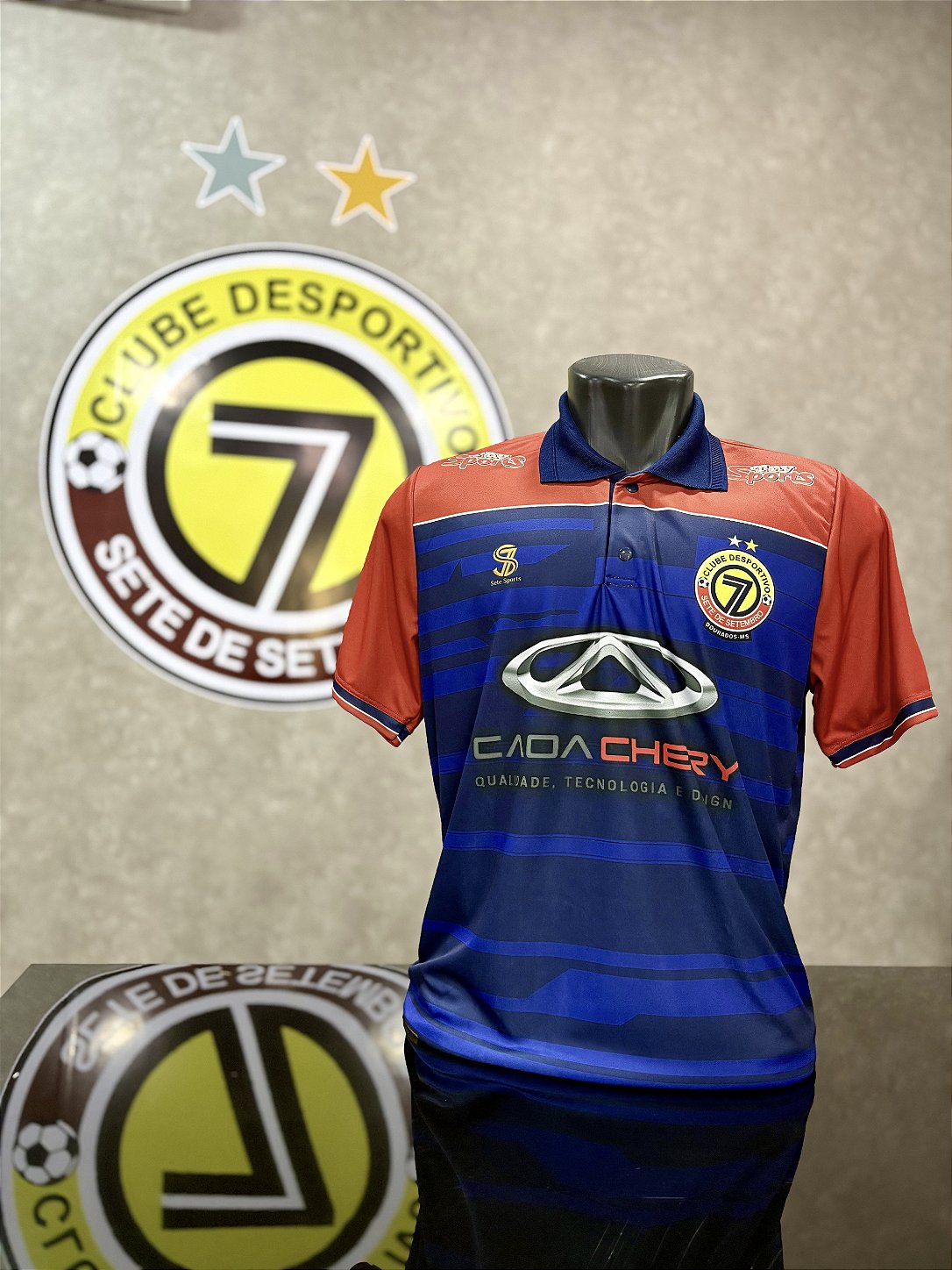 Camiseta com Gola