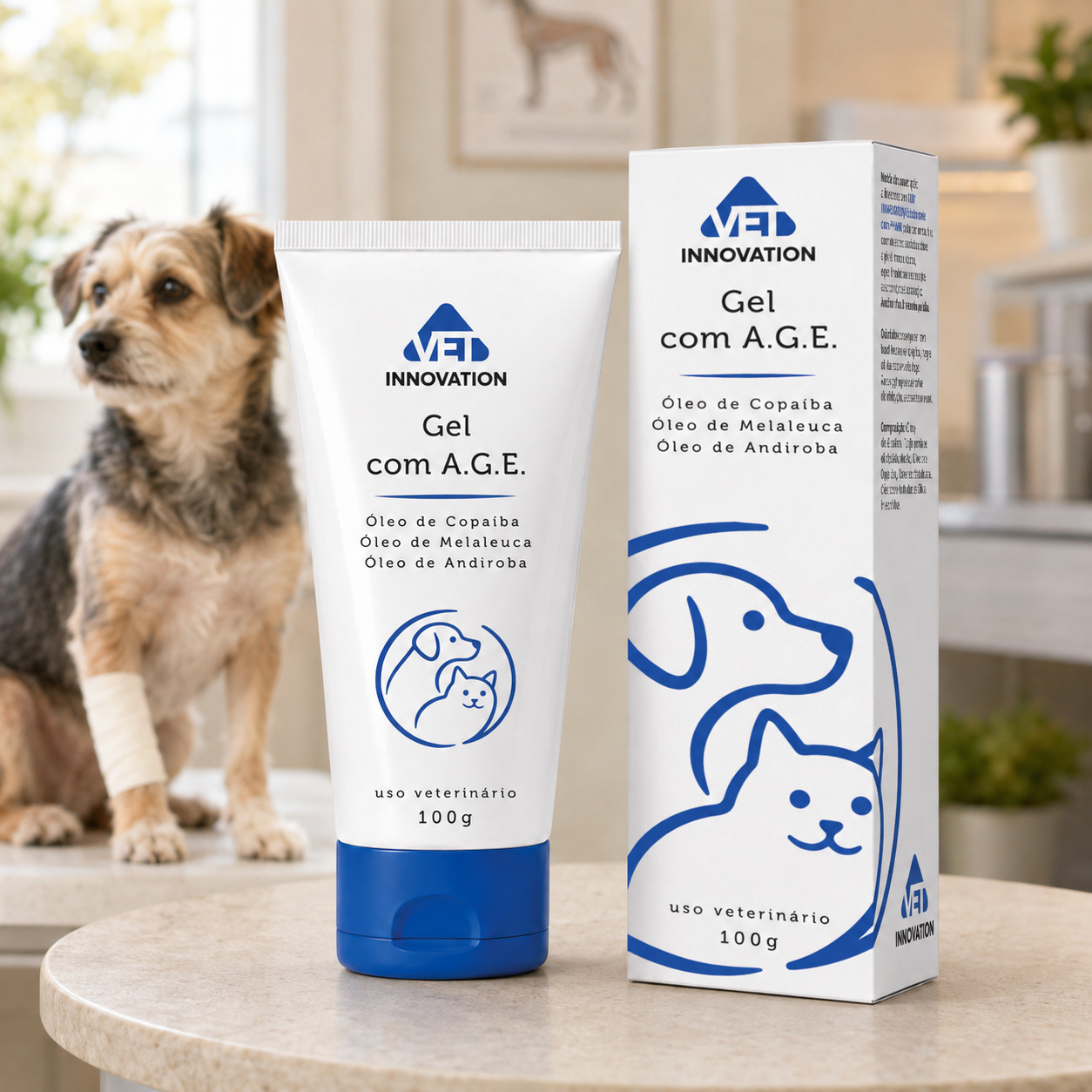 Gel com Age Bisnaga Pet 100g com caixa