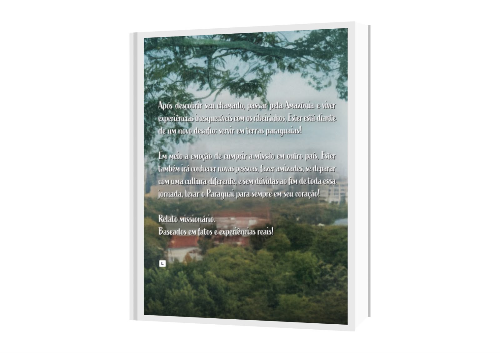 Livro Missão Paraguai