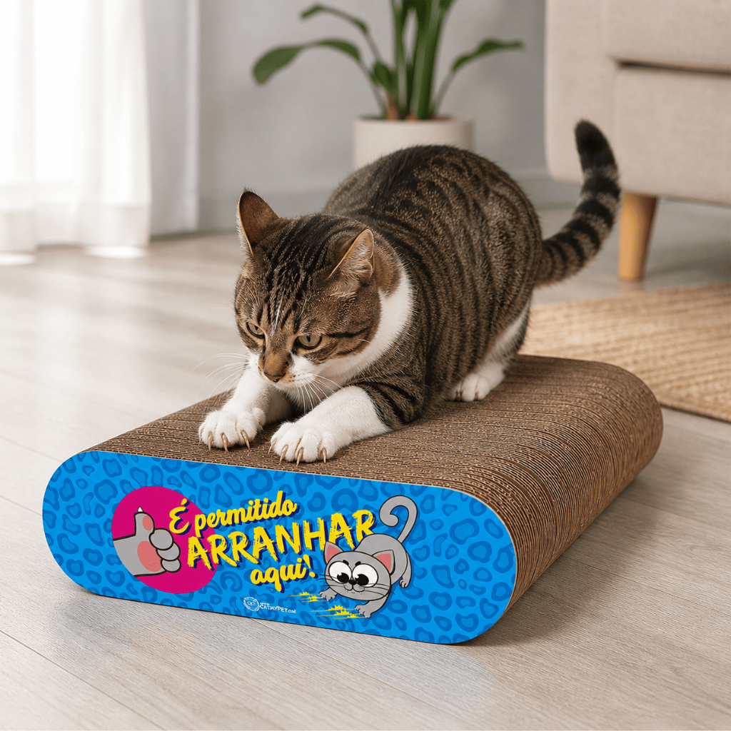 Arranhador para Gato com Catnip Dupla Face Leve Portatil e Resistente