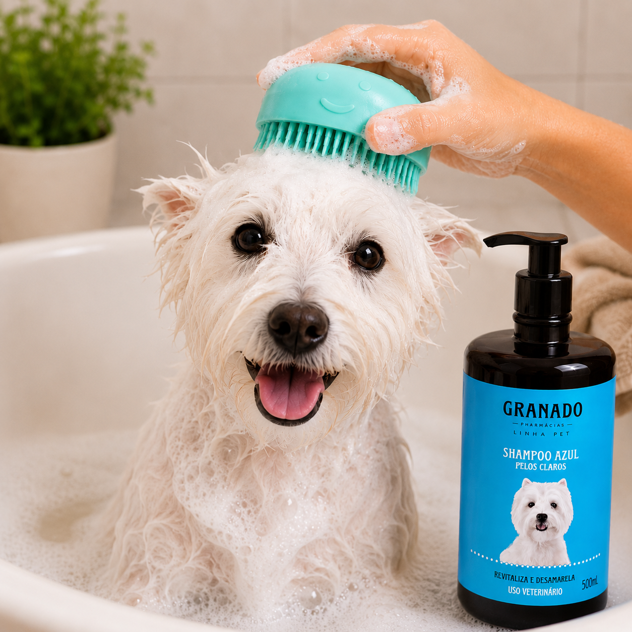 Kit Shampoo Granado Pelos Claros 500ml + Escova Banho Pet