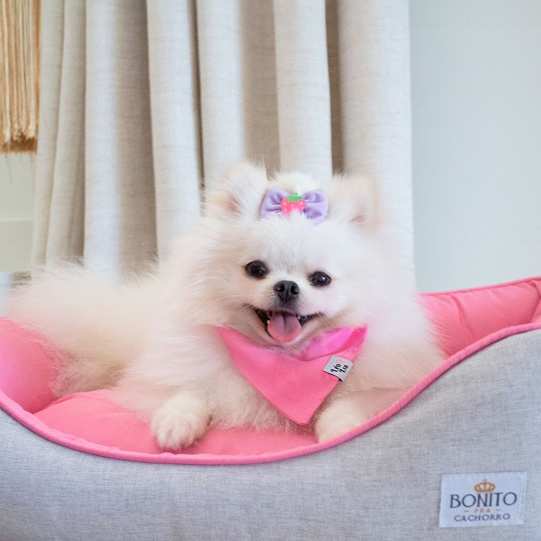 Cama para Cachorro Linho Clean Confortável Lavável Pet
