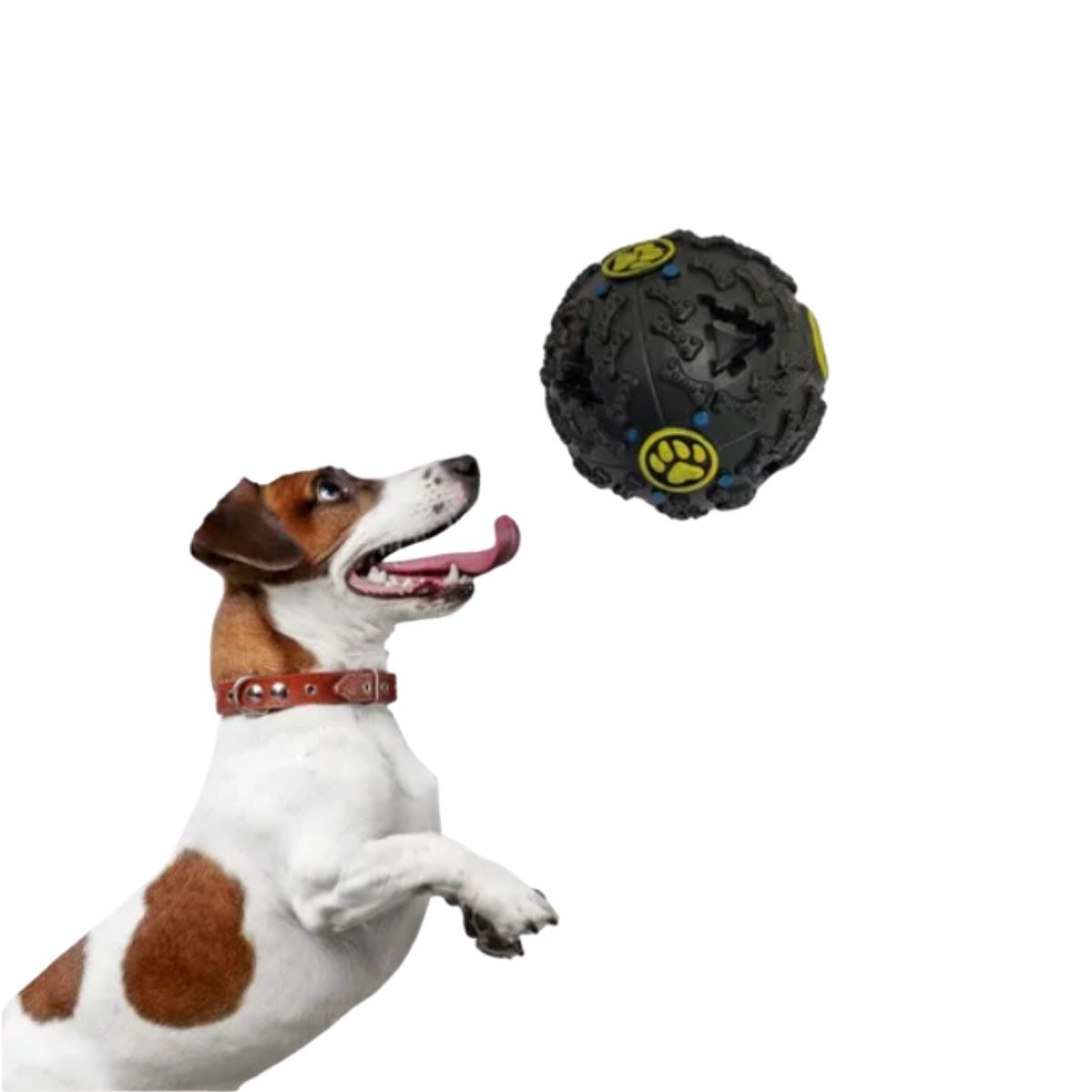 Kit 3 Bolas Interativas Petisqueiras com Som para Cães M 9 cm