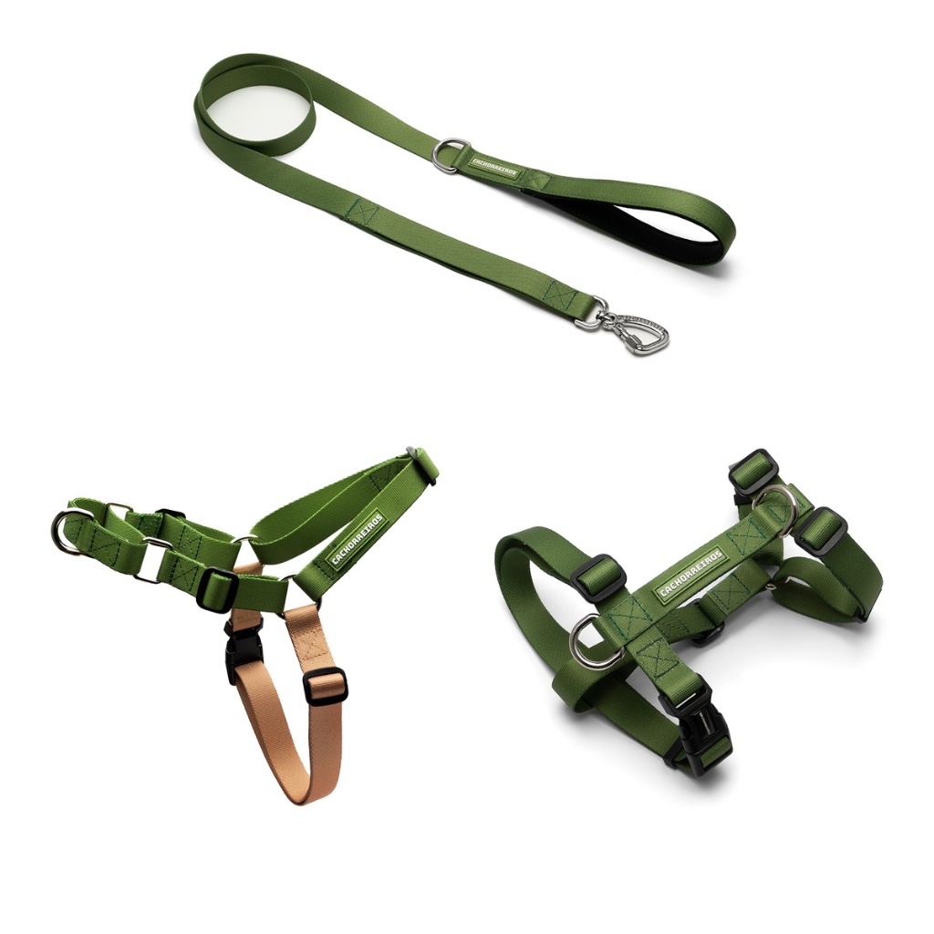 Kit Passeio Cachorreiros 3 Peças para Cachorro