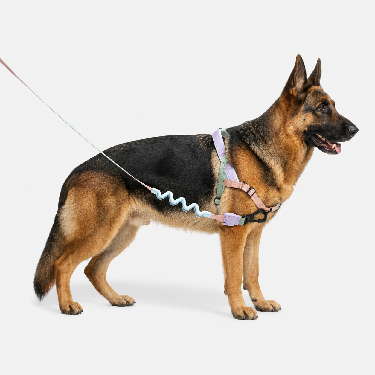 Peitoral Antipuxão para Cachorro Zee.Dog SofterWalk