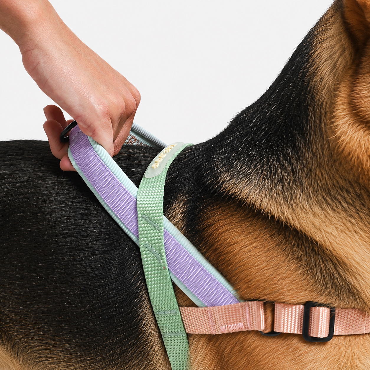 Peitoral Antipuxão para Cachorro Zee.Dog SofterWalk