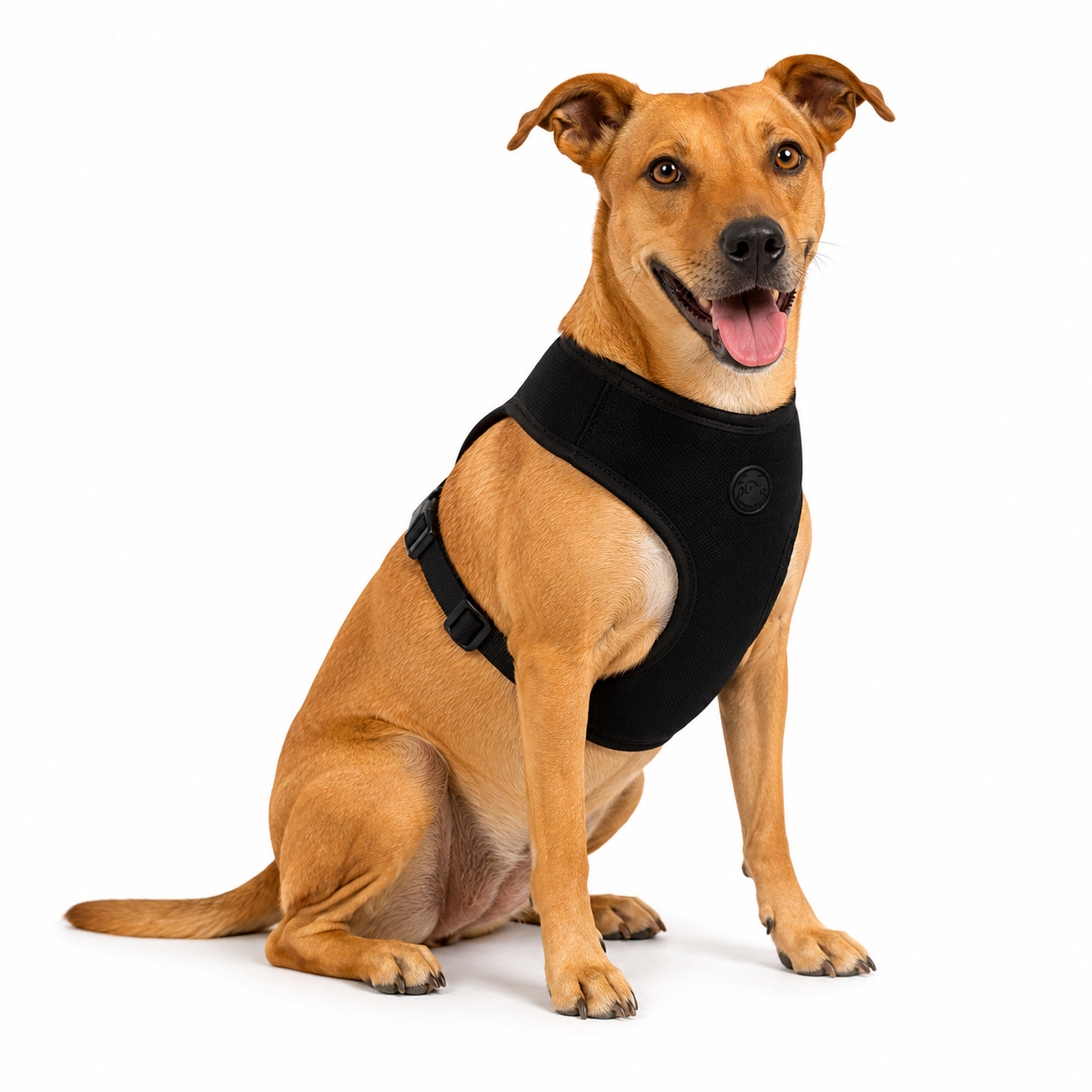 Colete Peitoral Flow Cachorreiros