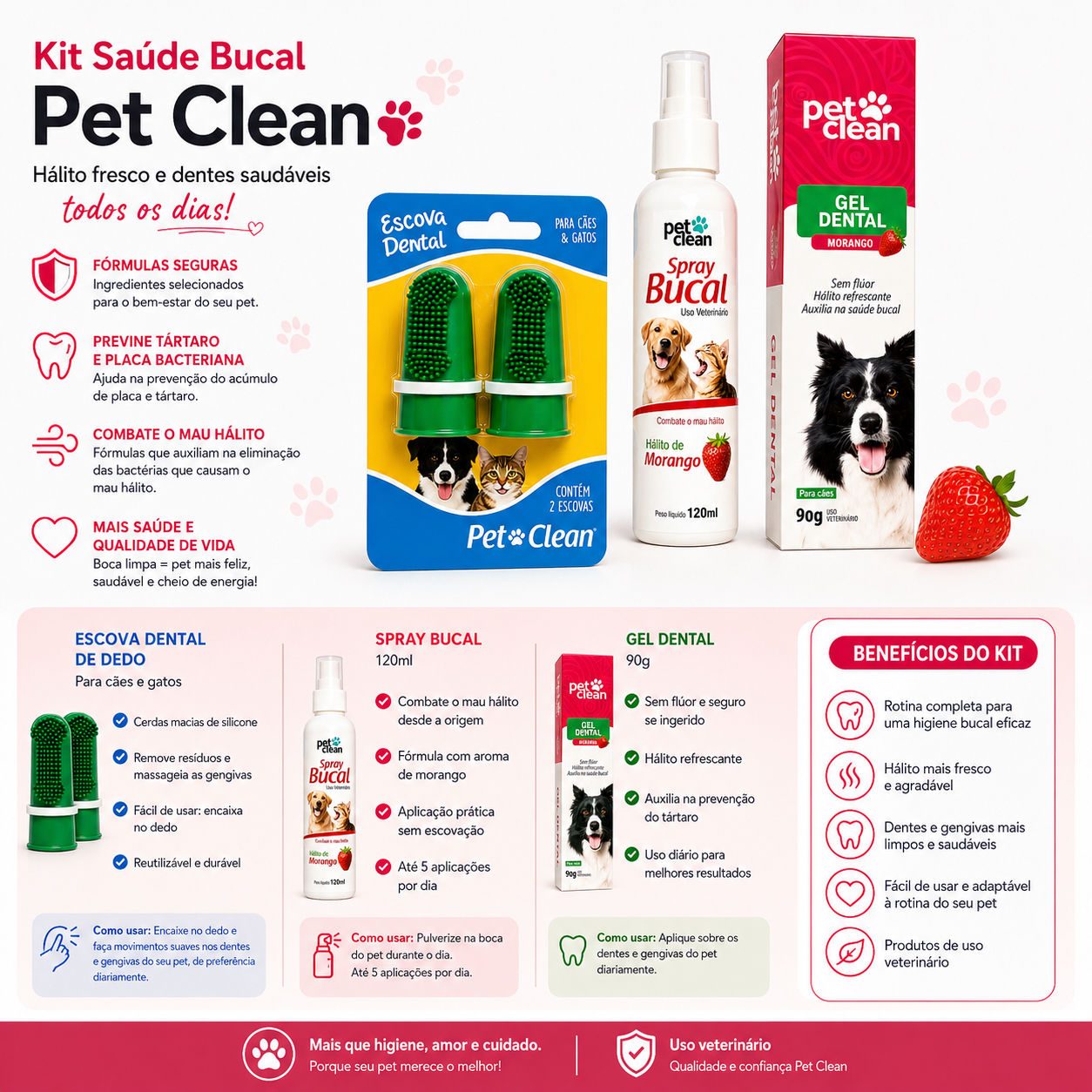 Kit Gel Dental Dedeira Spray - Morango