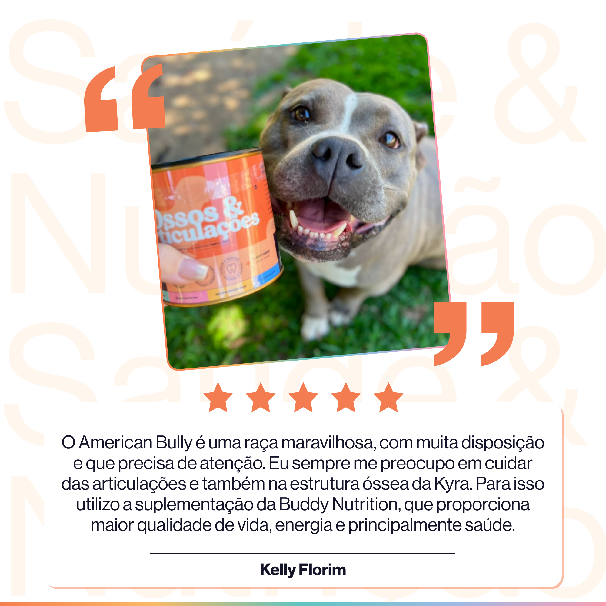 Ossos & Articulações Suplemento Alimentar Cães Buddy Nutrition