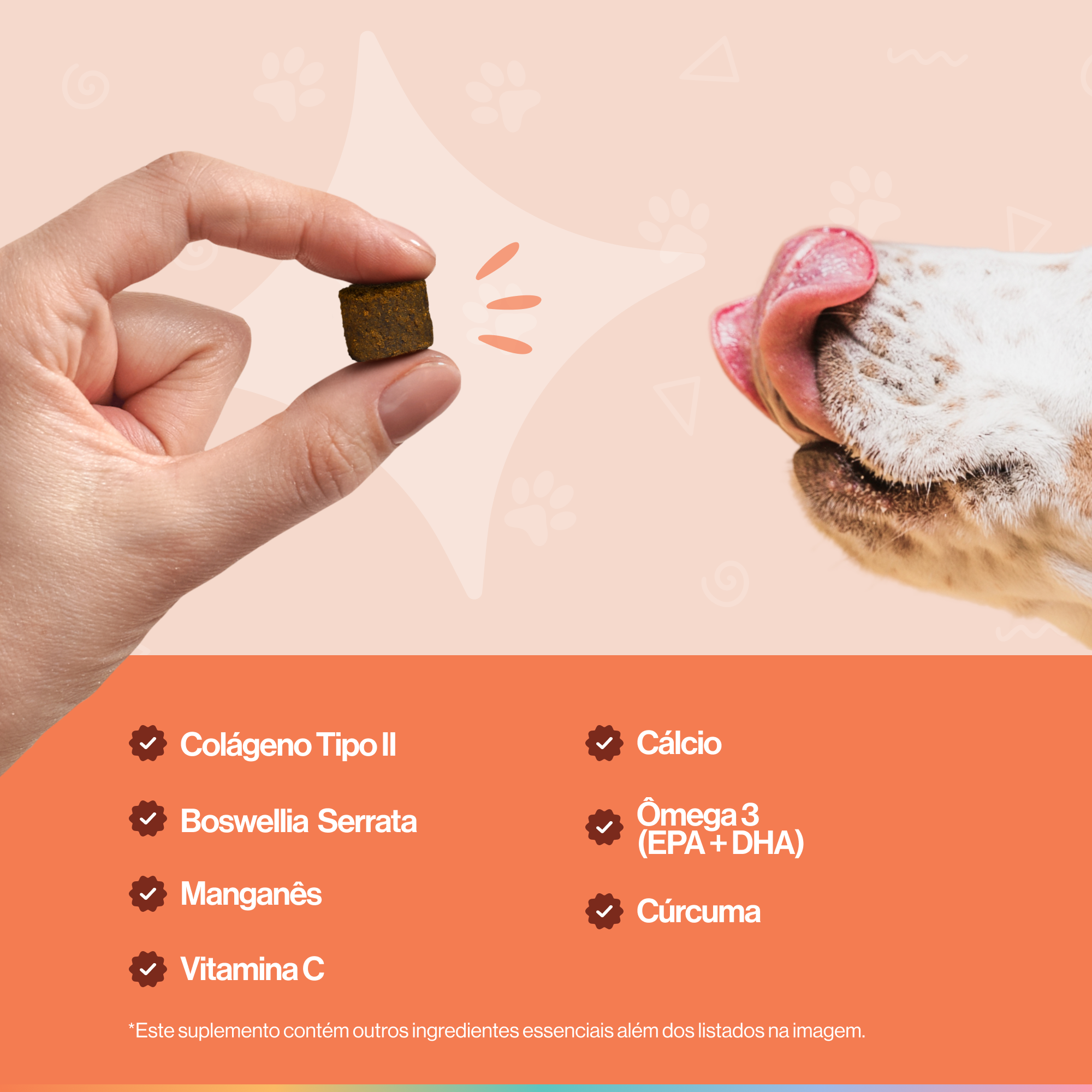 Ossos & Articulações Suplemento Alimentar Cães Buddy Nutrition