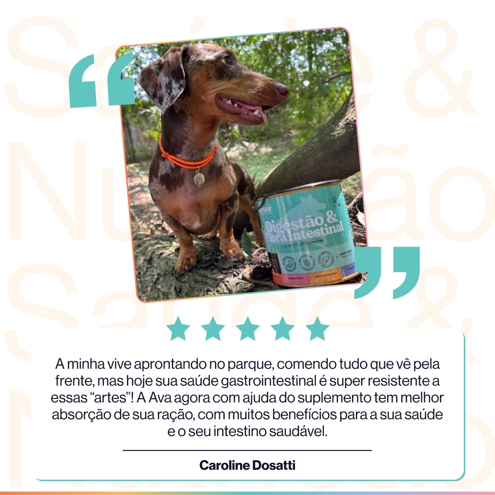 Suplemento Alimentar Pré-bióticos e Probióticos P/ Cães Buddy Nutrition