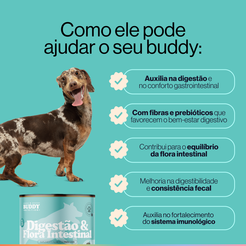 Suplemento Alimentar Pré-bióticos e Probióticos P/ Cães Buddy Nutrition
