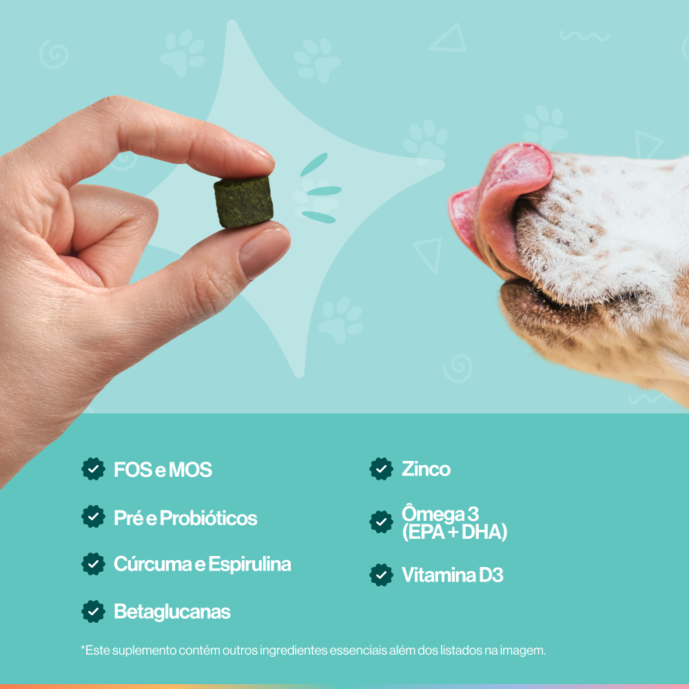 Suplemento Alimentar Pré-bióticos e Probióticos P/ Cães Buddy Nutrition