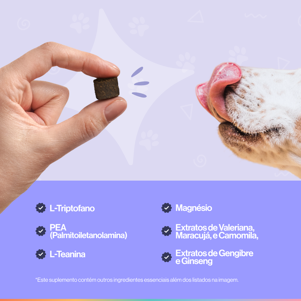 Suplemento Tranquilo & Calmo para Cães Buddy Nutrition com Triptofano e PEA