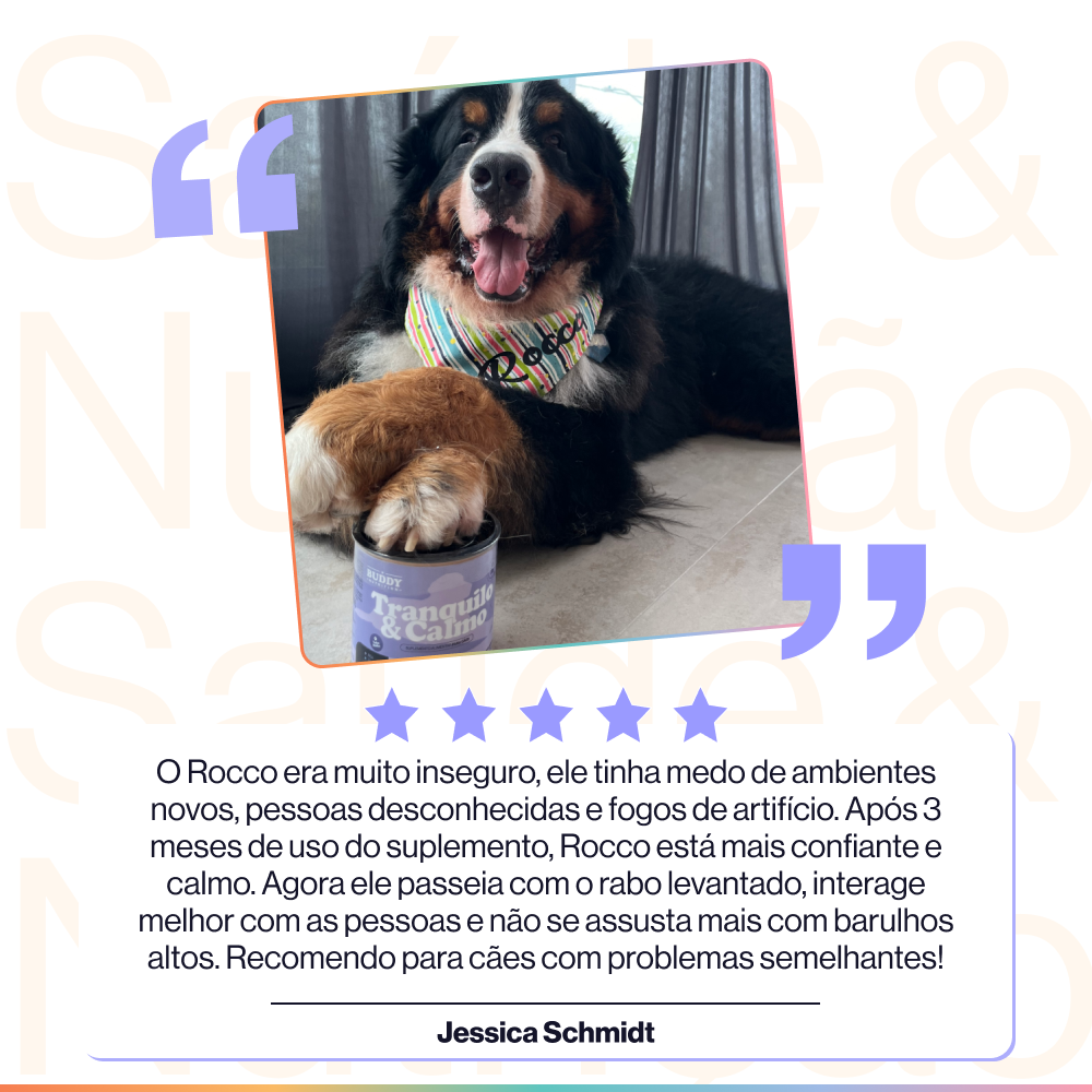 Suplemento Tranquilo & Calmo para Cães Buddy Nutrition com Triptofano e PEA