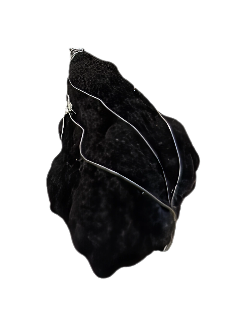 Betume Arenoso Único Aroma Petróleo Natural Pingente Alambrismo Aço Inóx Colar Cordão Emborrachado Aromaterapia
