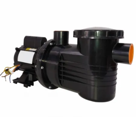 Bomba Monofásica para Piscina com Pré-Filtro 1/3cv Bivolt - Dancor