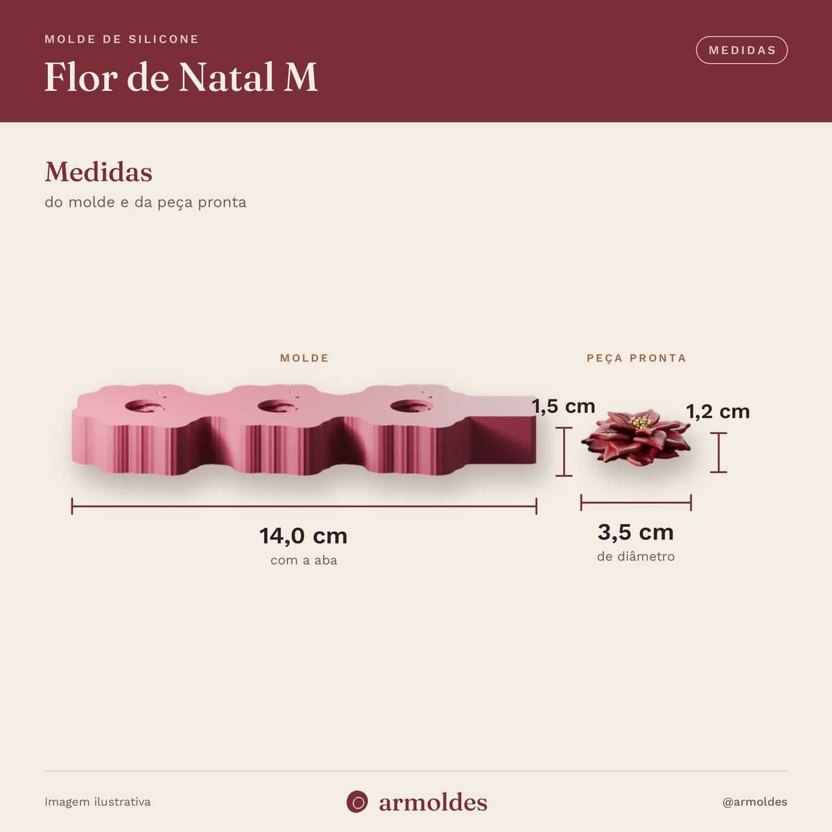 Molde de Silicone Flor de Natal M